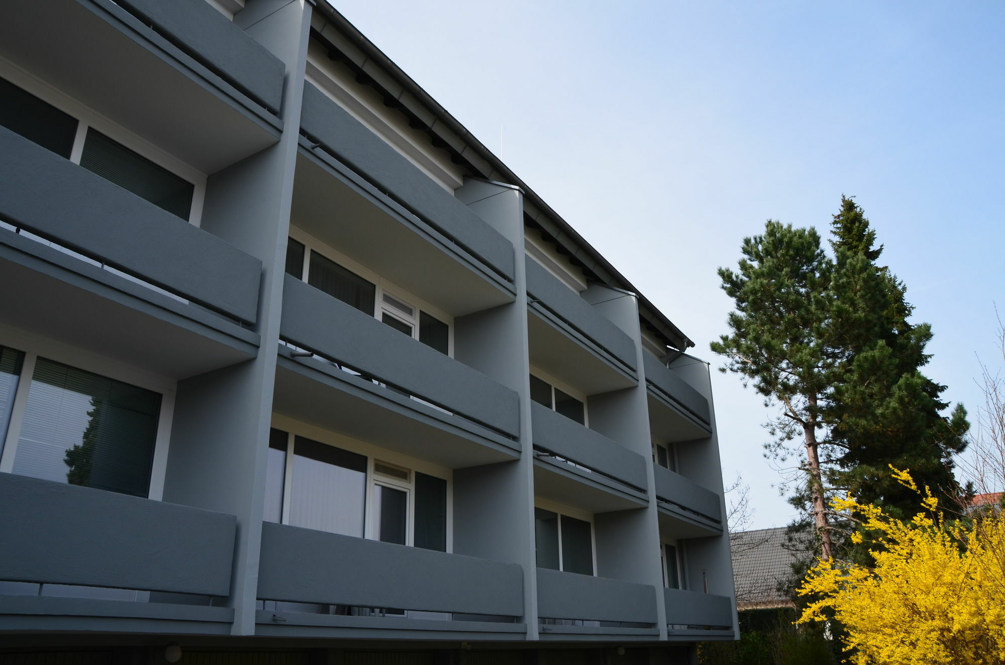 Neu Heidelberg - Guesthouse & Apartments Zewnętrze zdjęcie