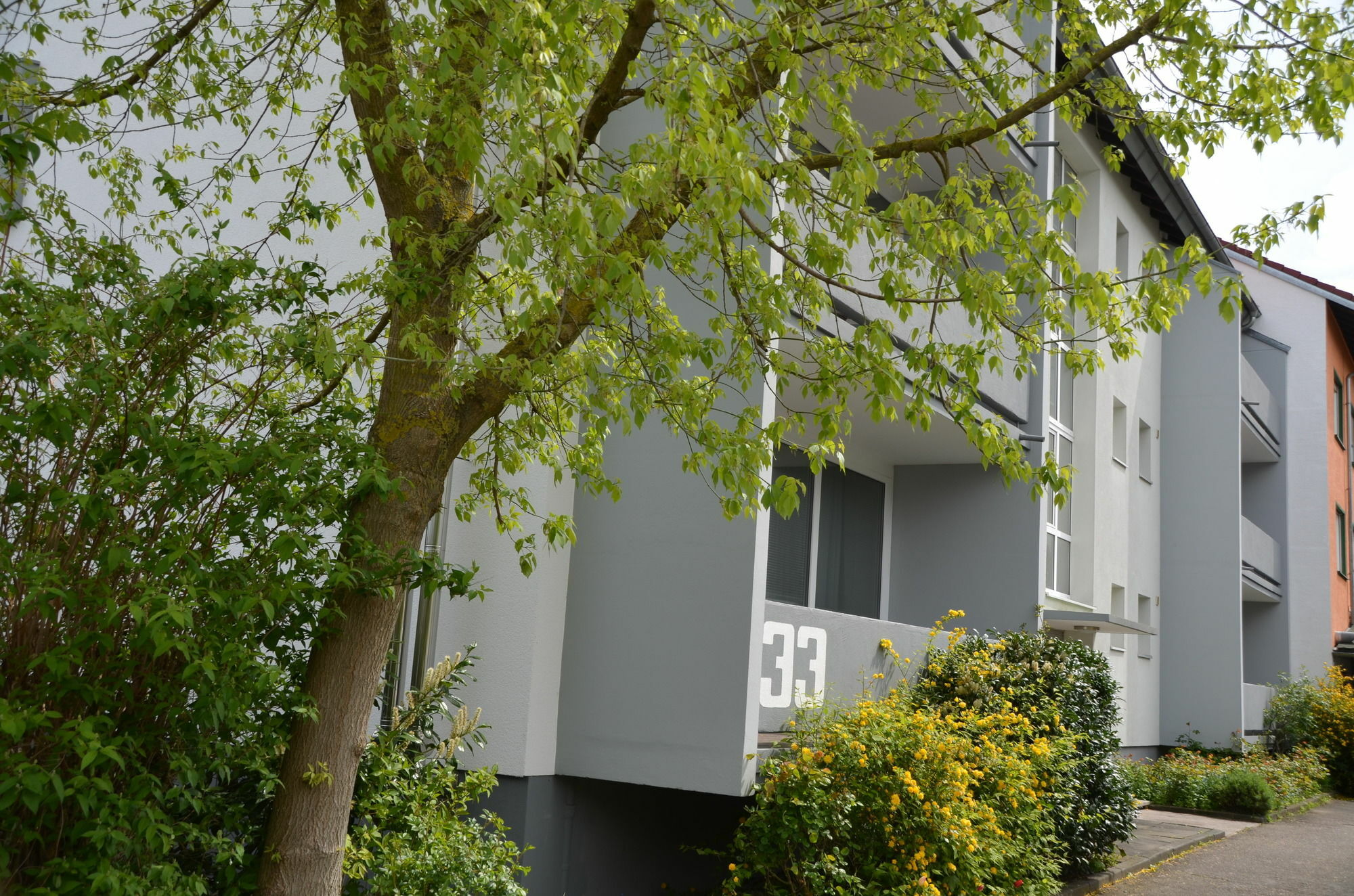 Neu Heidelberg - Guesthouse & Apartments Zewnętrze zdjęcie
