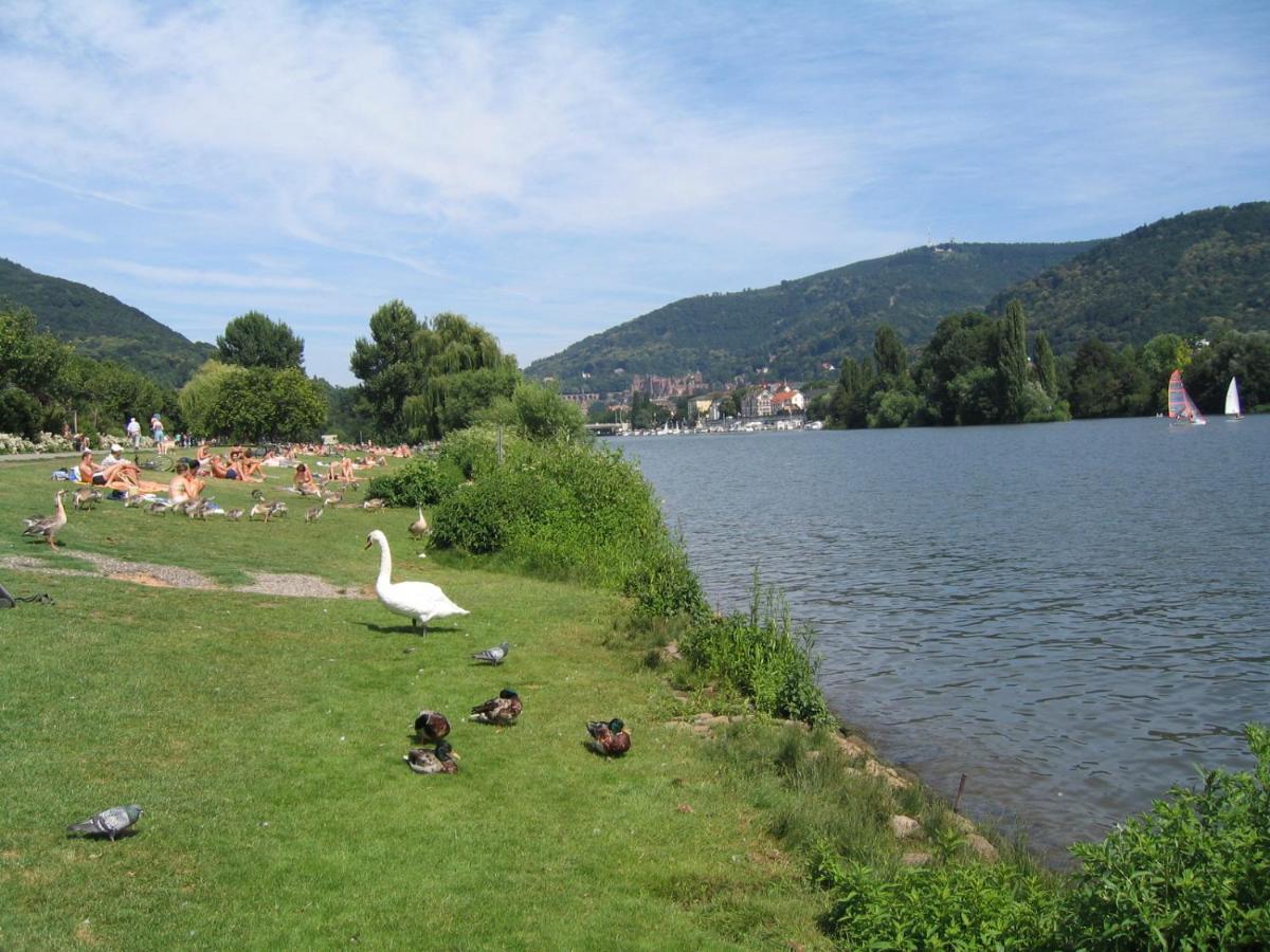 Neu Heidelberg - Guesthouse & Apartments Zewnętrze zdjęcie