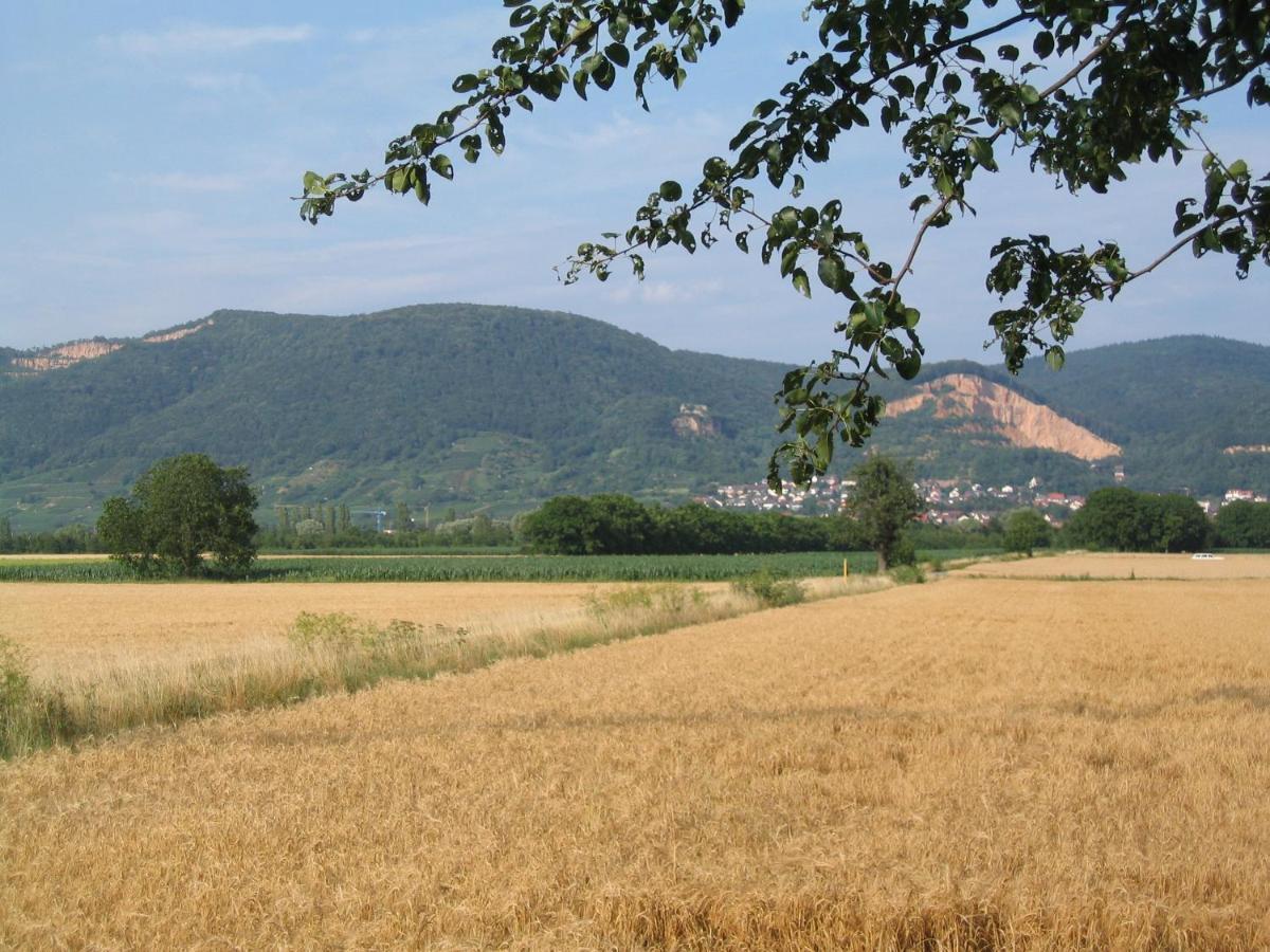 Neu Heidelberg - Guesthouse & Apartments Zewnętrze zdjęcie